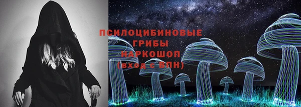 тгк Алзамай