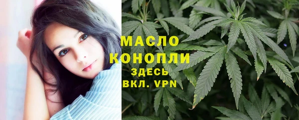 дживик Абаза